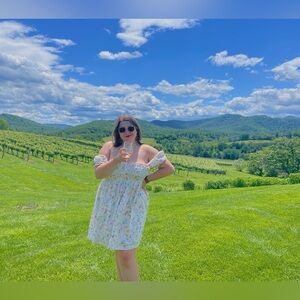 Abercrombie Emerson Poplin Mini Dress